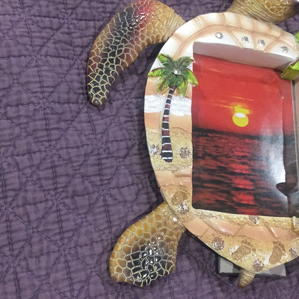 Turtle Frame - Picture 3 of 6